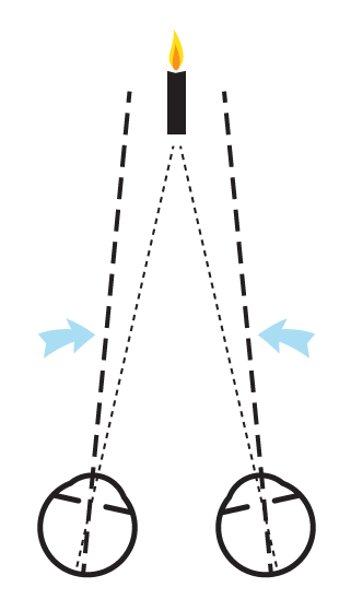 Visualtraining Dortmund - Winkelfehlsichtigkeit Abb. 3